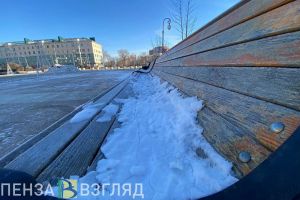 Крепкий мороз -28 градусов прогнозируется в Пензенской области 4 января