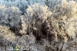 Понижение атмосферного давления и морозы ждут Пензенскую область в ближайшие дни