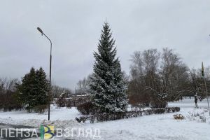 В МЧС рассказали, как пензенцам следует дышать на морозе