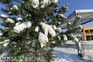 9 января в Пензенской области прогнозируется -28 градусов и небольшой снег
