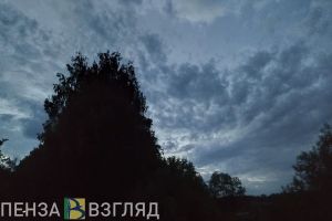Пензенцев просят помочь в поисках пропавшего 37-летнего мужчины