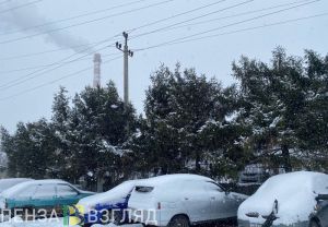 Синоптики прогнозируют ослабление морозов в Пензенской области