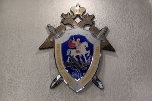 В Пензе СК проводит проверку по факту смерти женщины, тело которой вмерзло в лед