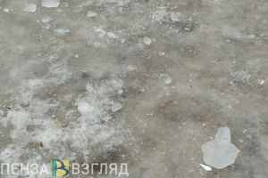 В Управлении образования рассказали пензенцам о трудовых десантах в мороз
