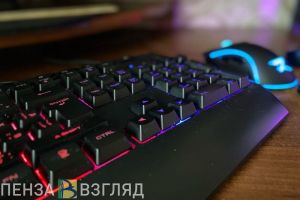 Пензенские айтишники могут стать «ветеранами труда»