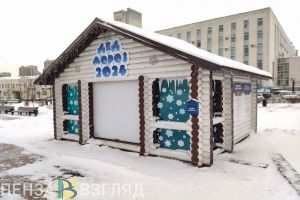 Юные пензенцы смогут пообщаться с Дедом Морозом до 13 января