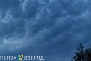 Беспилотник сбит в соседней с Пензенской областью
