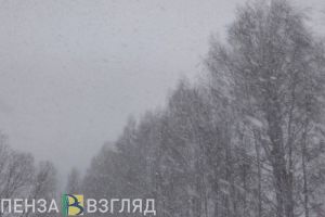 12 января в Пензенской области прогнозируется метель и -18 градусов