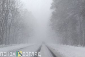 Пензенских водителей предупредили о сильном снегопаде 11 января