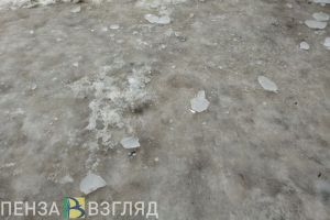 Пензенцы интересуются, почему дороги не посыпают реагентами против гололеда