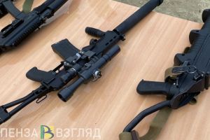В Мокшанском районе браконьеры убили семь косуль и двух кабанов