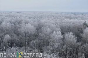 В воскресенье в Пензенской области ожидаются 30-градусные морозы