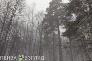 В ближайшие три дня пензенцев ждет потепление
