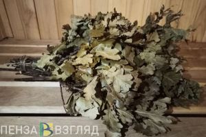 Сельчанин из Кузнецкого района хотел чинить баню, но потерял трактор и бензопилу
