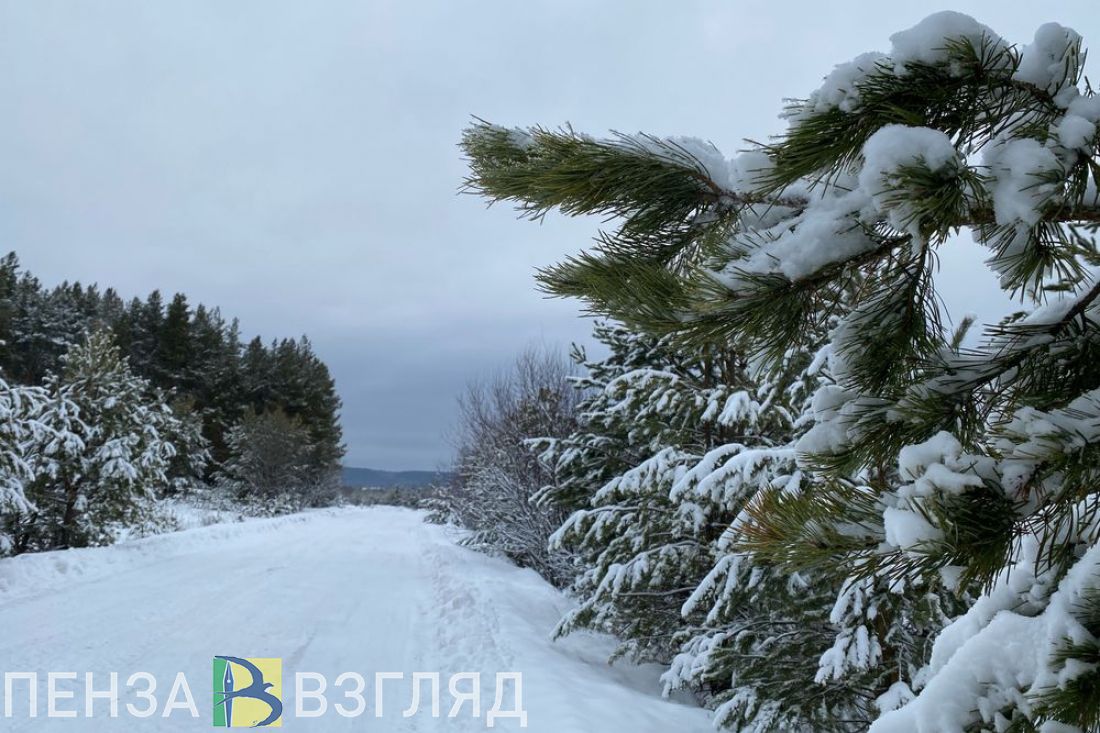 Пензенских водителей попросили отложить поездки на машинах в ближайшие дни