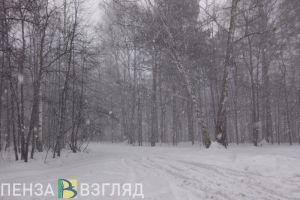 В Пензенской области 17 января ожидается мощный ветер и снегопад