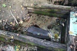 Пензенцам напомнили, что пить воду из родников может быть опасно