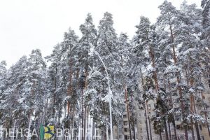 Пензенцам стало известно мнение Вильфанда о «традиционных» крещенских морозах