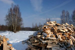 Пензенские лесозаготовители снабжают дровами бойцов СВО