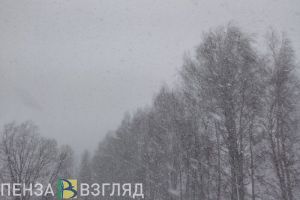 Ограничение движения по федеральной трассе в Пензенской области снова продлено