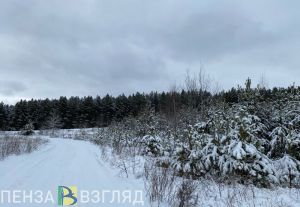 Местами по Пензенской области ожидается 24-градусный мороз