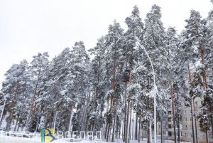 В Пензенской области прекратятся осадки и усилятся морозы