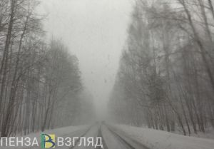 В Пензенской области на дорогах в непогоду задействовано 280 единиц спецтехники