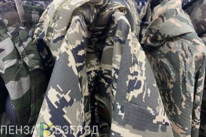 Пензенским семьям мобилизованных прекратили продлевать льготы автоматически