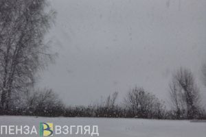 20 января в Пензенской области ожидаются порывы ветра до 18 метров в секунду