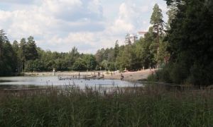 «Лесной» пруд в Заречном смогут использовать для противопожарных нужд