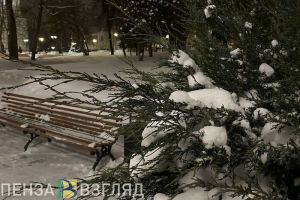 22 января в Пензенской области прогнозируется похолодание до -25 градусов
