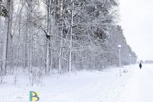 Ночью в Пензенской области ожидается мороз до -26 градусов