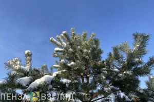 Магнитная буря обрушится на Пензу 23 января