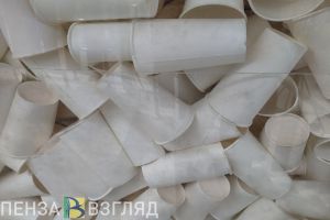Пензенцев приглашают поучаствовать в экологической акции