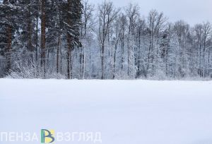 За холодным антициклоном в Пензенскую область придет атлантический циклон