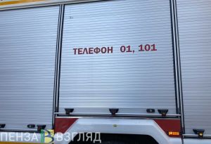 С начала года в Пензенской области произошло 89 пожаров