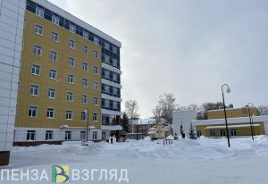 В семьях в Пензенской области родились девятый и тринадцатый ребенок