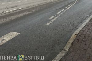 Пензенцы узнали об идее создать на дорогах зоны отдыха и передвижные заправки