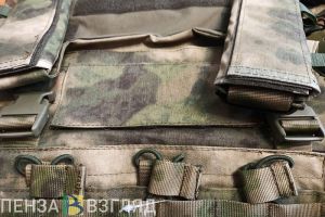 Пензенский минтруд ответил на жалобу родственницы бойца СВО