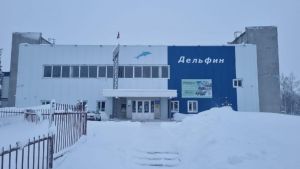 В Пензенской области зимой в бассейне во время занятий детей открывали форточки
