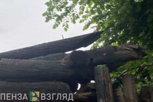 Пензенцам, пострадавшим от чрезвычайных ситуаций, предложили давать отпуска