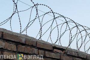 Мокшанцу, избившему попутчицу до смерти, вынесли приговор спустя 10 лет