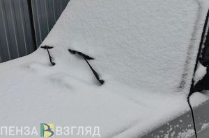 Синоптики рассказали, какую погоду ждать пензенцам 27 января