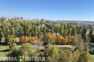 Пензенцы просят высадить больше кустов и деревьев на проспекте Строителей