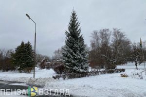 Синоптики Пензенской области опубликовали прогноз погоды на воскресенье
