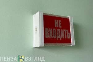 Пензенцы узнали, готова ли Россия к угрозе «болезни Х»