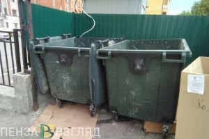 В Пензенской области могут уницифировать цвета мусорных баков