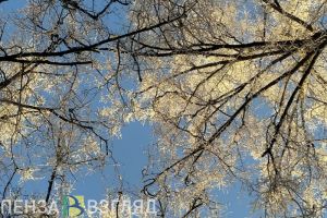 Пензенцам сообщили, когда в феврале будет магнитная буря
