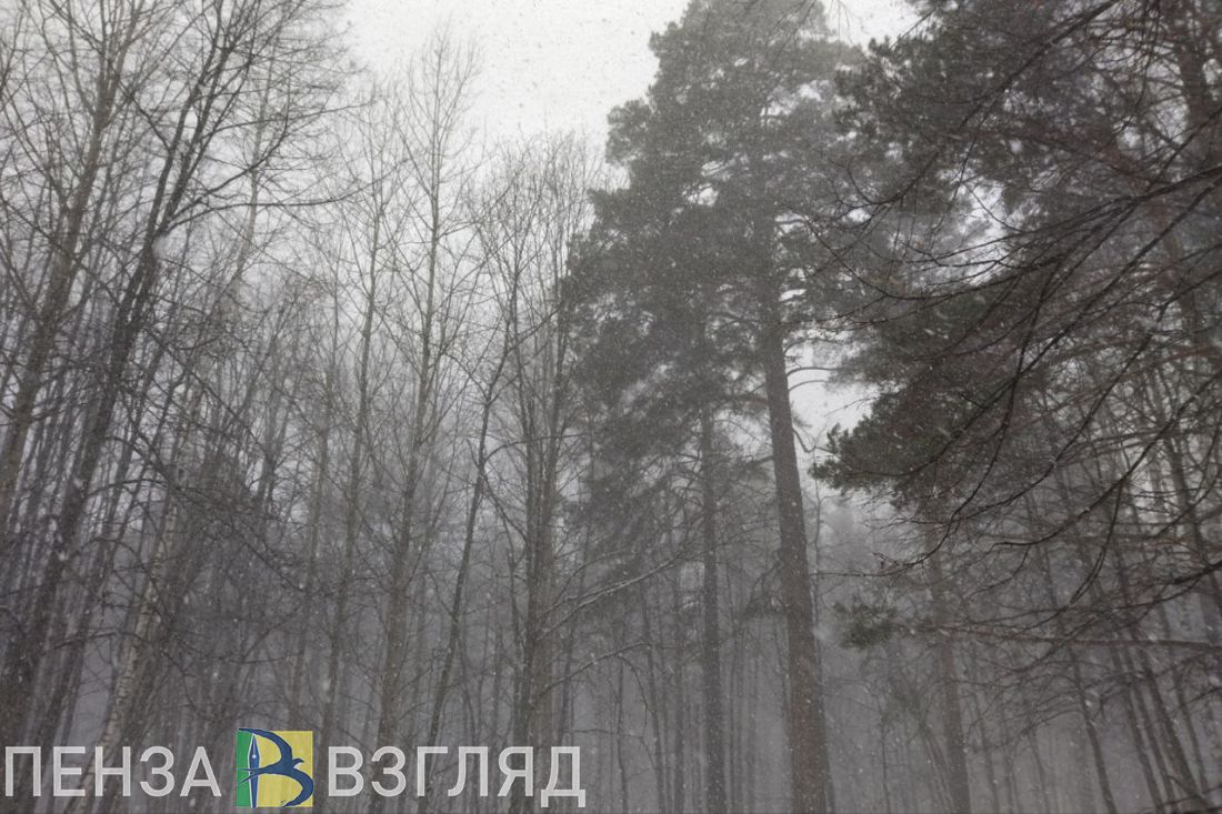 Смерть известной баскетболистки, две пропавшие, предупреждение от МЧС –  новости Пензы и области за 28 января