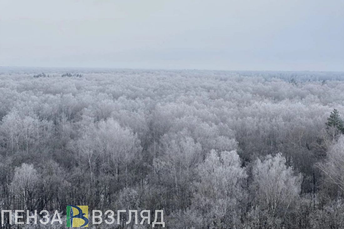 Пензенцам рассказали, как спастись от обморожения